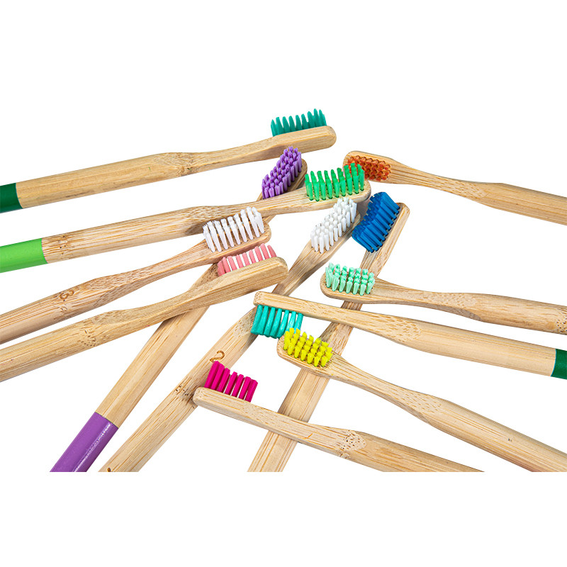 Features and aspects of bamboo toothbrushes with biodegradable bristles