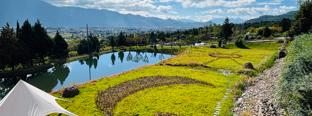 Hidden Lijiang Attractions International Travelers Will Love