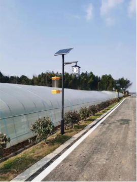 Solar Insecticidal Lamp Supplier Qualities That Matter Most