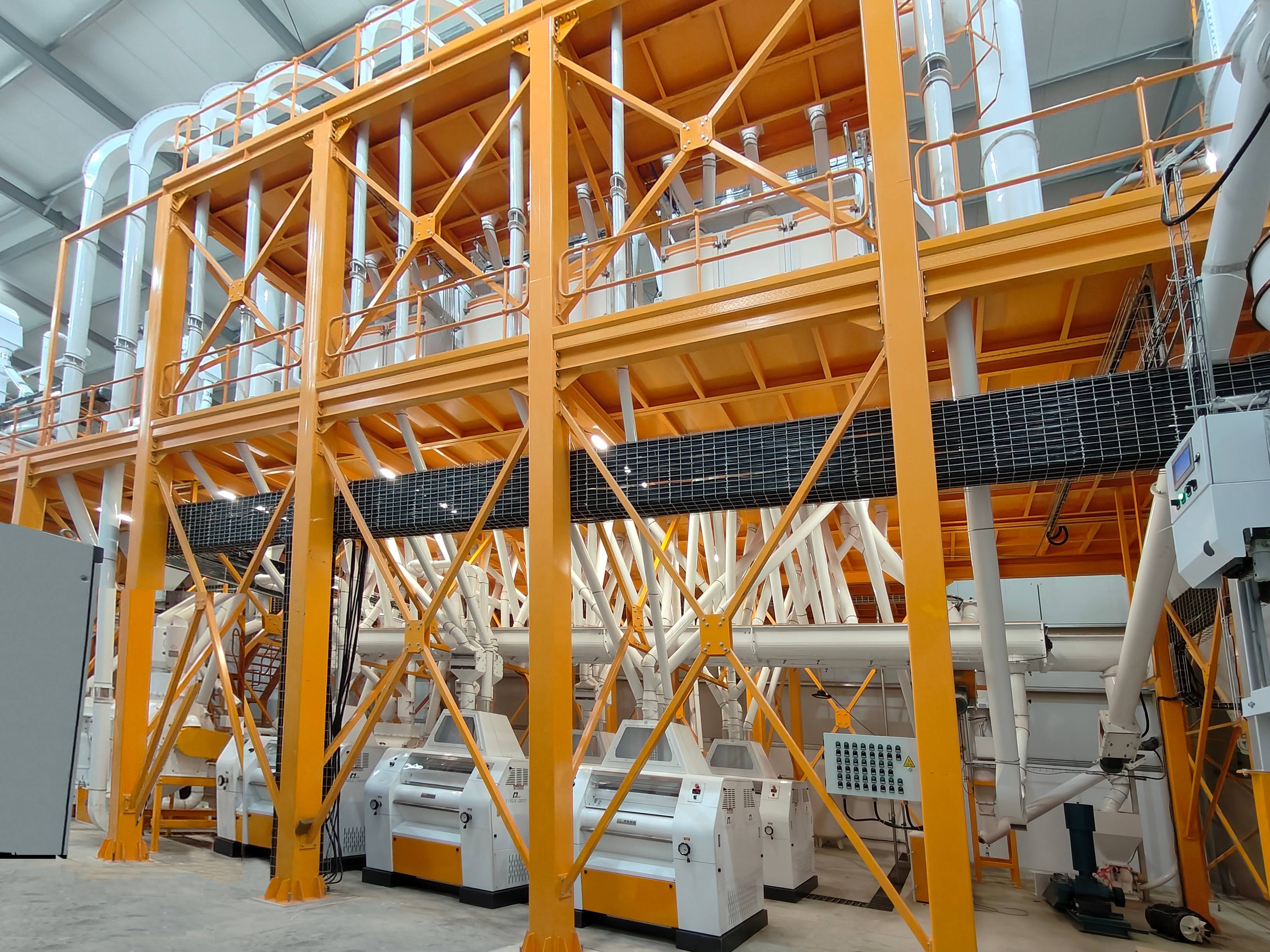 Grain Grinder Machine Supplier Tips for Choosing the Best Equipment